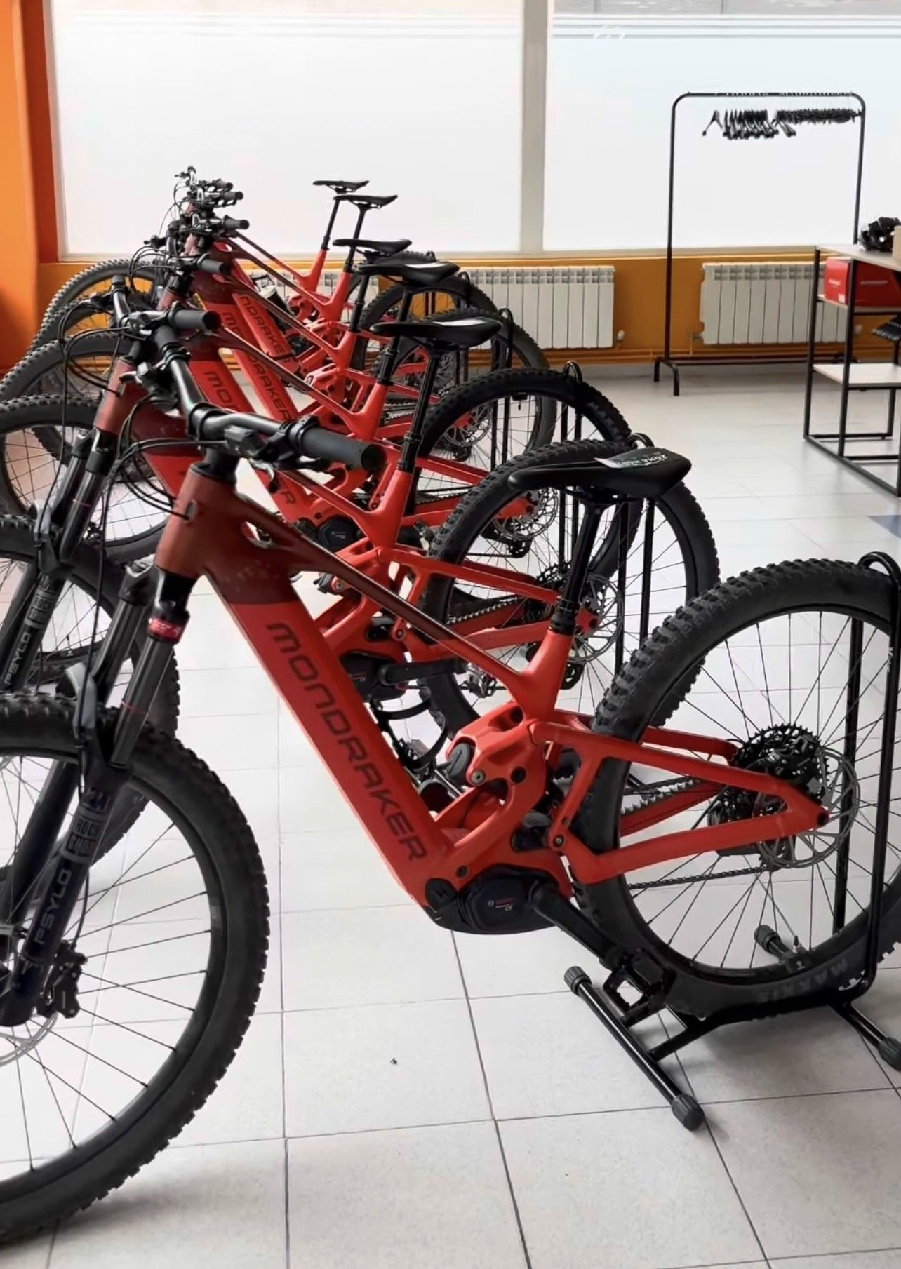 zona norte: mondraker scree s