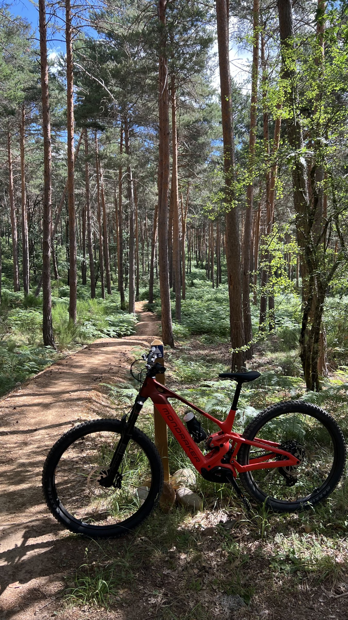 zona norte: e-bike en ruta